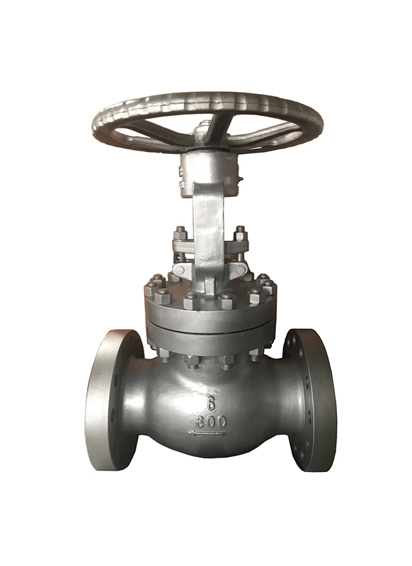 Globe Valve